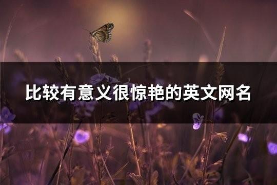 比較有意義很驚艷的英文網(wǎng)名(精選178個(gè))