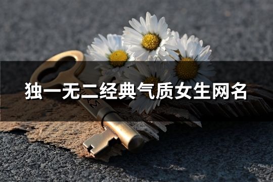 獨(dú)一無(wú)二經(jīng)典氣質(zhì)女生網(wǎng)名(共158個(gè))