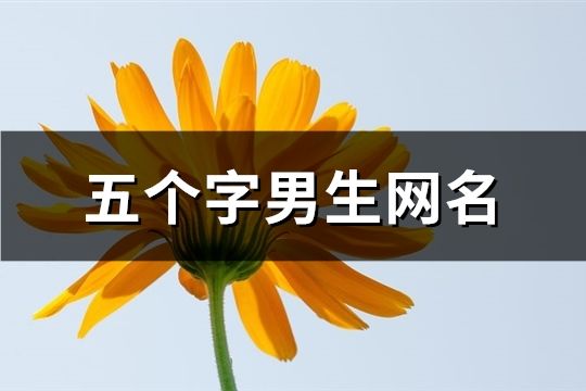 五個字男生網名(共165個)