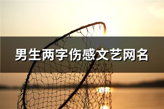 男生兩字傷感文藝網(wǎng)名(共61個(gè))