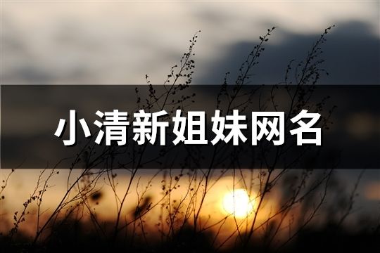 小清新姐妹網名(103對)