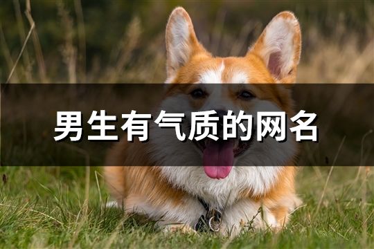 男生有氣質的網名(精選120個)