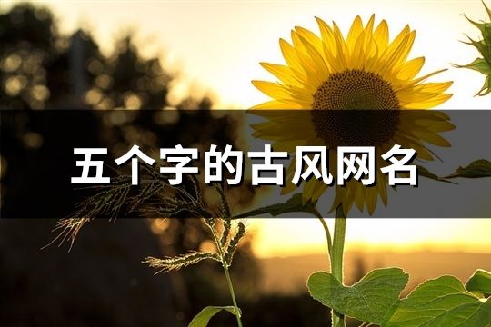五個(gè)字的古風(fēng)網(wǎng)名(116個(gè))