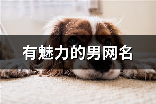 有魅力的男網名(精選104個)