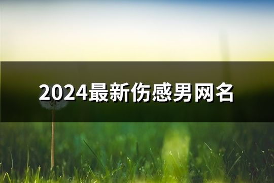 2024最新傷感男網名(120個)