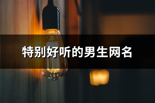 特別好聽的男生網名(78個)