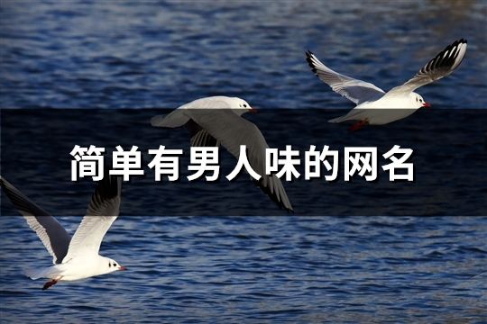 簡單有男人味的網名(共84個)