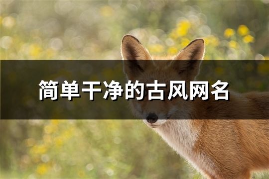 簡單干凈的古風網名(112個)