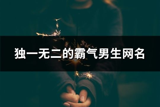 獨(dú)一無二的霸氣男生網(wǎng)名(167個(gè))