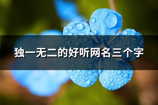 獨一無二的好聽網名三個字(177個)