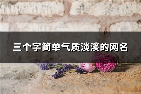 三個字簡單氣質淡淡的網名(共106個)