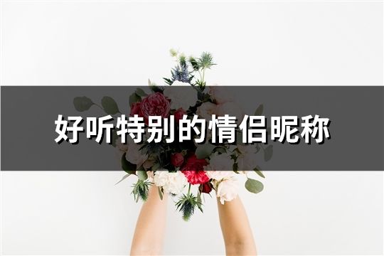 好聽特別的情侶昵稱(90對)