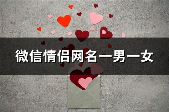 微信情侶網名一男一女(精選96對)
