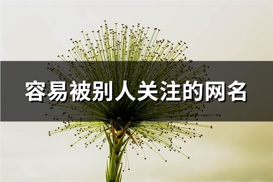 容易被別人關注的網名(144個)