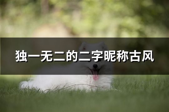 獨(dú)一無(wú)二的二字昵稱古風(fēng)(精選110個(gè))