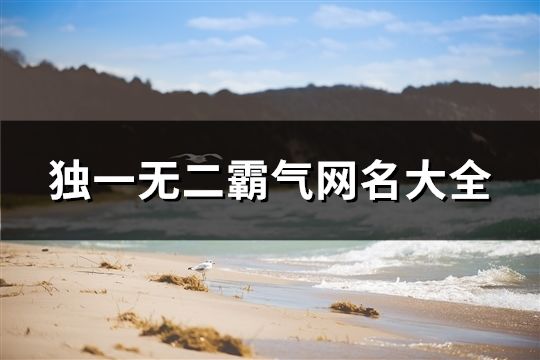 獨(dú)一無(wú)二霸氣網(wǎng)名大全(178個(gè))