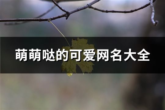 萌萌噠的可愛網(wǎng)名大全(共162個(gè))