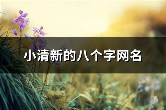 小清新的八個(gè)字網(wǎng)名(184個(gè))