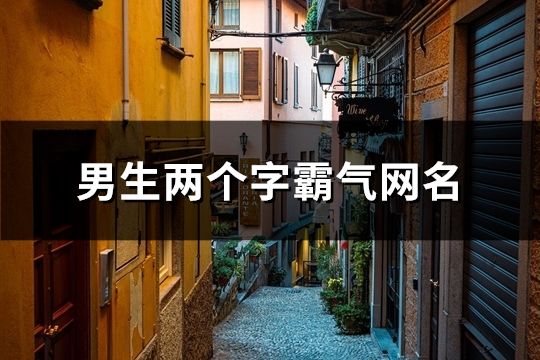 男生兩個字霸氣網名(共147個)