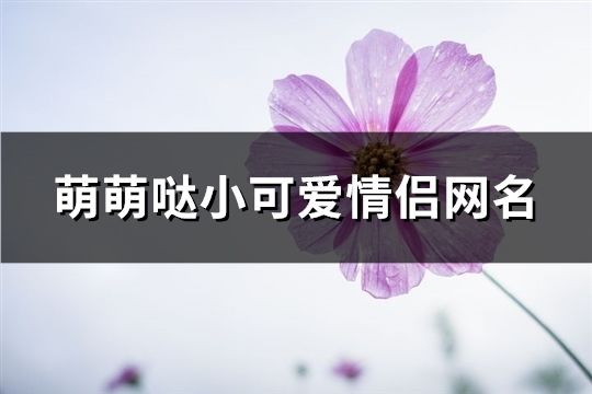 萌萌噠小可愛情侶網名(精選139對)