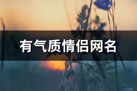 有氣質(zhì)情侶網(wǎng)名(共62對)