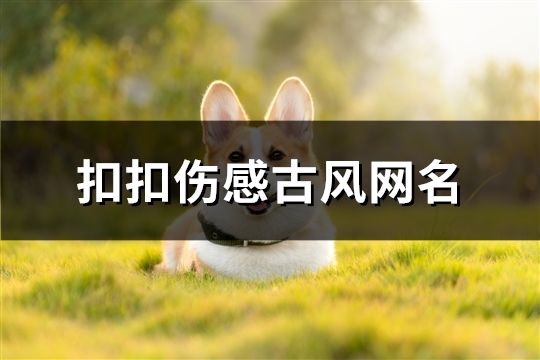 扣扣傷感古風網名(104個)
