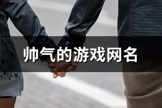 帥氣的游戲網名(共137個)