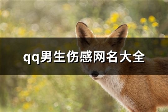 qq男生傷感網名大全(共151個)