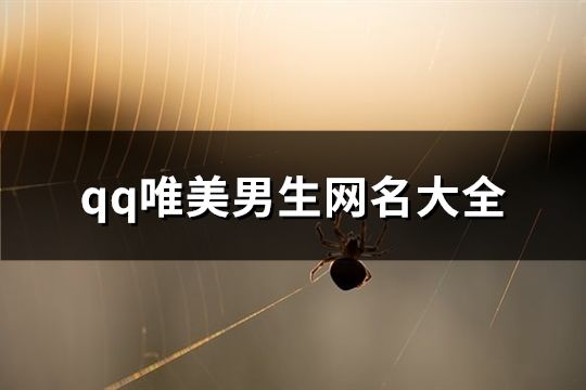qq唯美男生網名大全(112個)