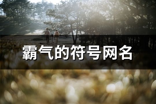 霸氣的符號網(wǎng)名(共158個)