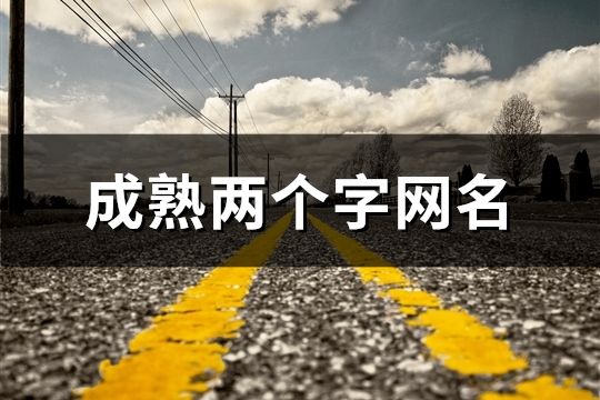 成熟兩個(gè)字網(wǎng)名(精選71個(gè))