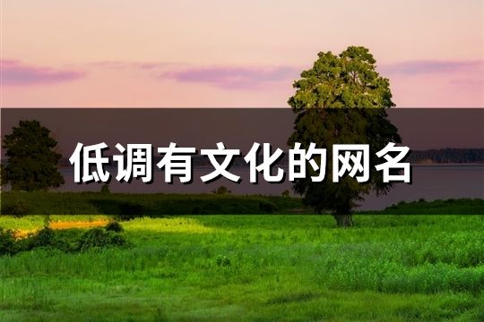 低調有文化的網名(186個)