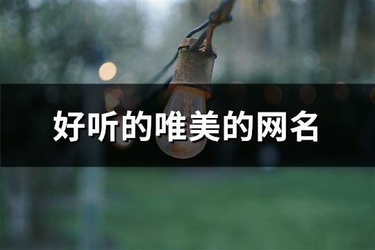好聽的唯美的網名(精選175個)