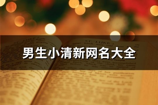 男生小清新網名大全(89個)
