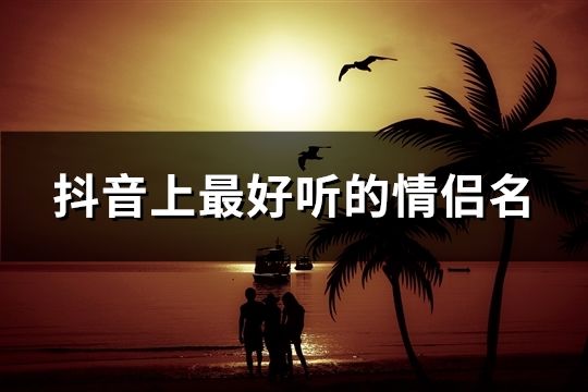 抖音上最好聽的情侶名(93對)