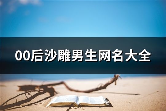 00后沙雕男生網(wǎng)名大全(133個)