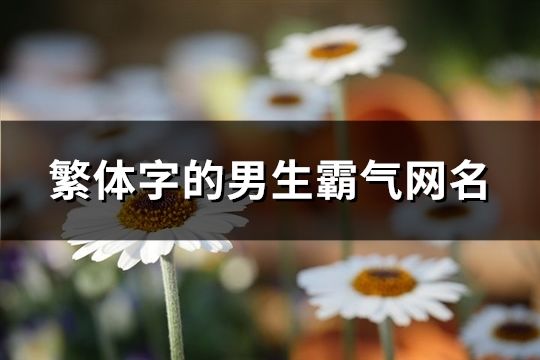 繁體字的男生霸氣網名(共105個)