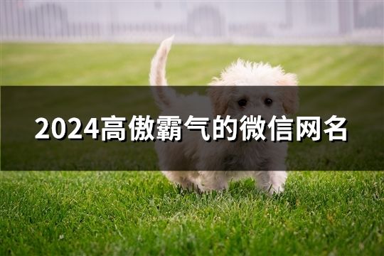 2024高傲霸氣的微信網名(共103個)