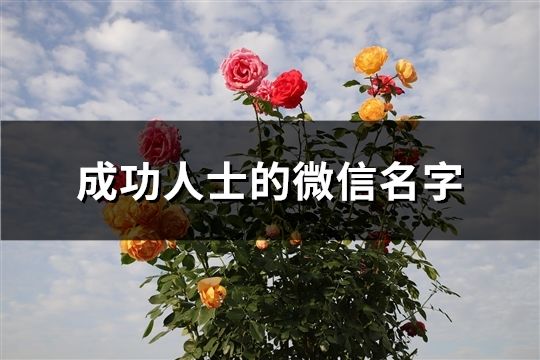 成功人士的微信名字(103個)