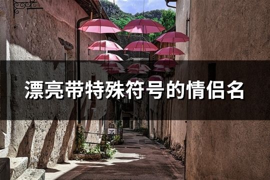 漂亮帶特殊符號的情侶名(121對)