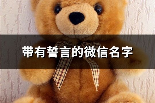 帶有誓言的微信名字(共127個)