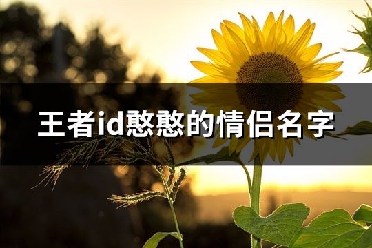 王者id憨憨的情侶名字(精選70對)