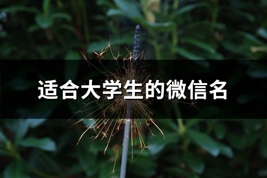 適合大學(xué)生的微信名(107個(gè))