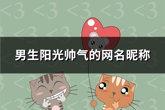 男生陽光帥氣的網名昵稱(118個)