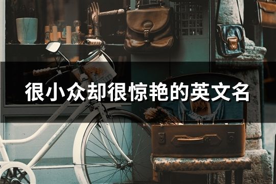 很小眾卻很驚艷的英文名(117個)