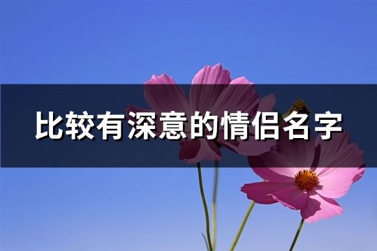 比較有深意的情侶名字(141對)
