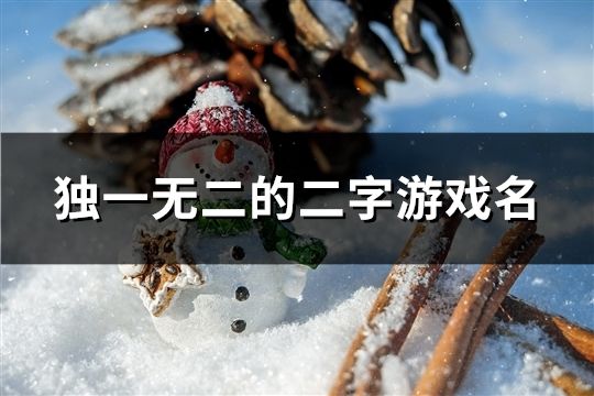 獨一無二的二字游戲名(精選126個)