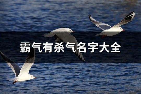 霸氣有殺氣名字大全(共127個)