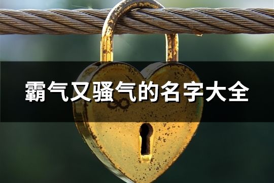 霸氣又騷氣的名字大全(共125個)