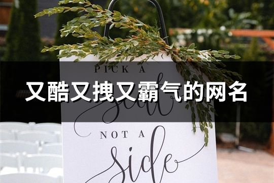 又酷又拽又霸氣的網(wǎng)名(精選119個(gè))